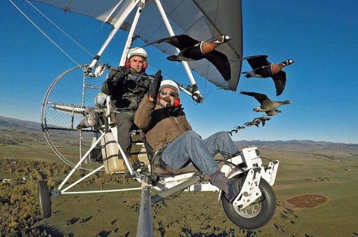 Voler en ULM avec les oiseaux dans le Cantal